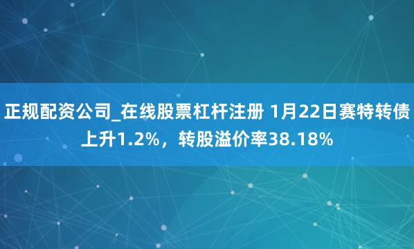正规配资公司_在线股票杠杆注册 1月22日赛特转债上升1.2%，转股溢价率38.18%