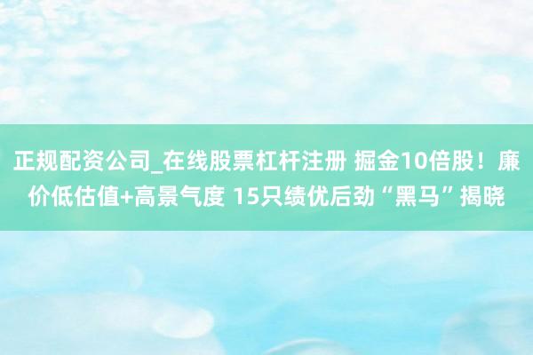 正规配资公司_在线股票杠杆注册 掘金10倍股！廉价低估值+高景气度 15只绩优后劲“黑马”揭晓