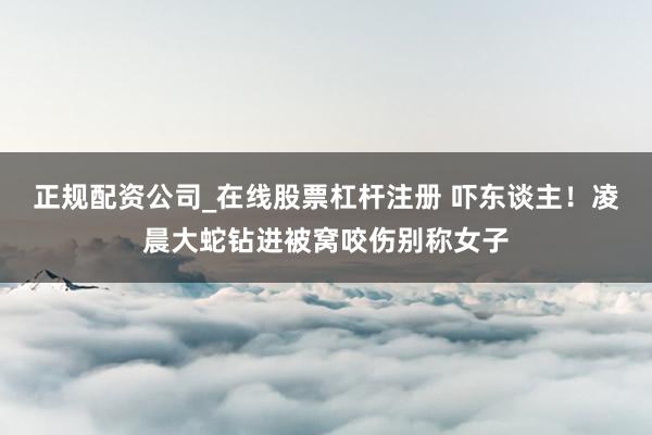 正规配资公司_在线股票杠杆注册 吓东谈主！凌晨大蛇钻进被窝咬伤别称女子